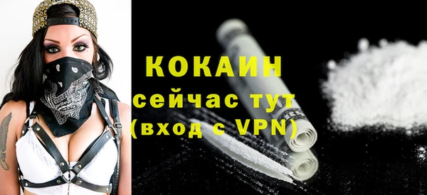 apvp Рославль