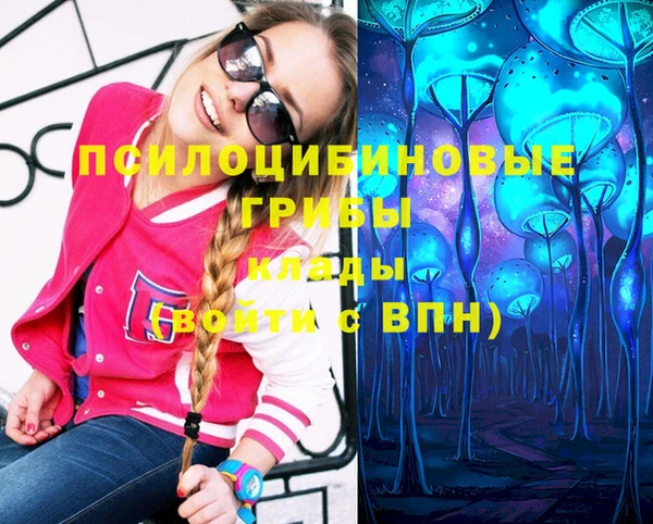 не бодяженный Алексин