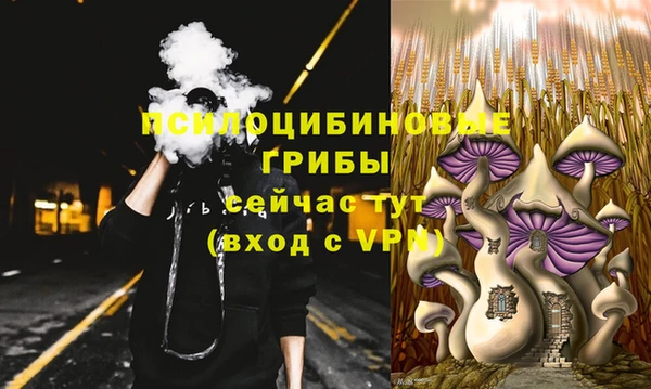 шишки Ростов