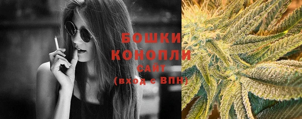 шишки Ростов