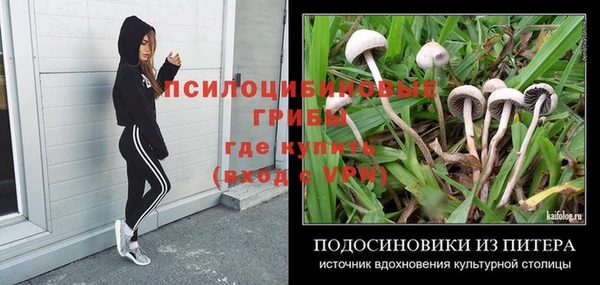 не бодяженный Алексин