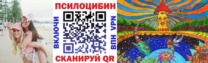 как найти закладки  Гусиноозёрск  Псилоцибиновые грибы мицелий 