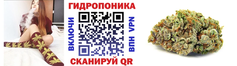 Конопля MAZAR  сколько стоит  Гусиноозёрск 